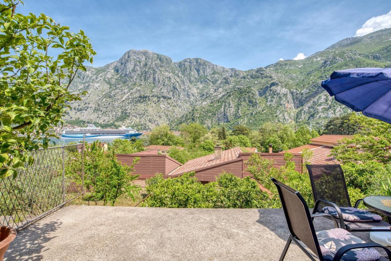 Milas Kotor